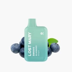 LOST MARY BM600s | Blueberry (Heidelbeeren)